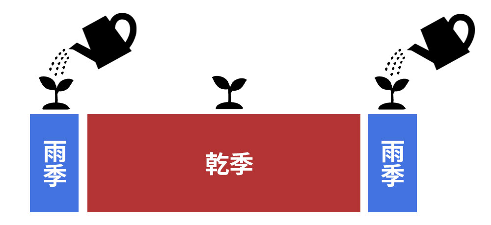 水やりのタイミングイメージズ