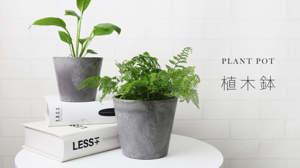 botaniqleAmazonストアリンク