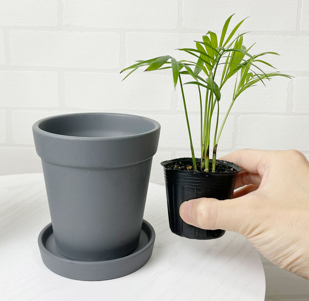 グレー鉢の使用イメージ