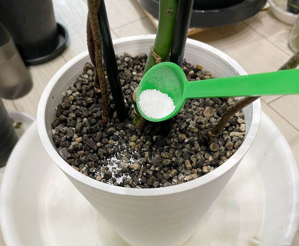 マグァンプDの使い方