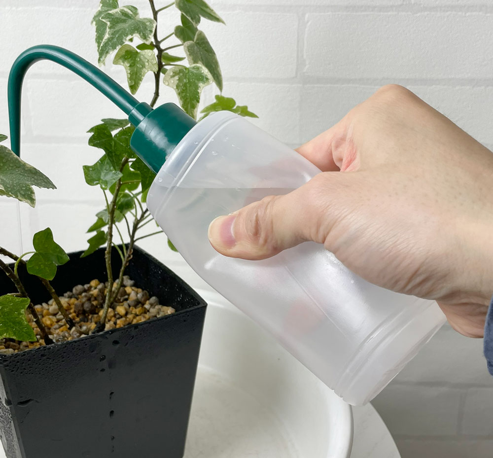 本体が柔らかく水が出しやすい
